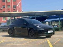 Tesla Model Y Rear-Wheel Drive - ფოტო 3