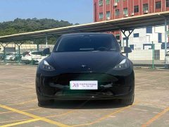 Tesla Model Y Rear-Wheel Drive - ფოტო 5