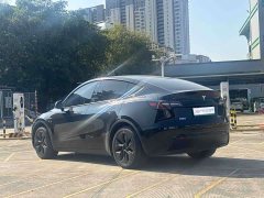 Tesla Model Y Rear-Wheel Drive - ფოტო 6