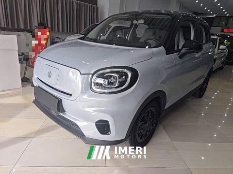2024 Leapmotor T03 310 Lite Enjoy Edition - car from China