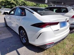 Trumpchi Leopard 270T DCT J11 - photo 4