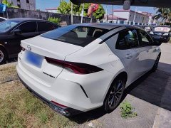 Trumpchi Leopard 270T DCT J11 - photo 6