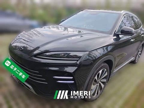 2023 BYD Song Plus New Energy Champion Edition DM-i 110KM Flagship