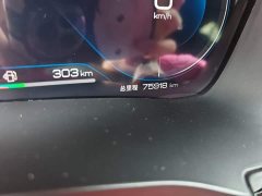 BYD Song Plus New Energy Champion Edition DM-i 110KM Flagship - фото 4