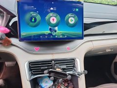 BYD Song Plus New Energy Champion Edition DM-i 110KM Flagship - фото 5