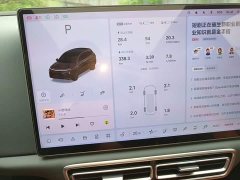 Li Auto L6 Max Smart Refresh Edition - ფოტო 11