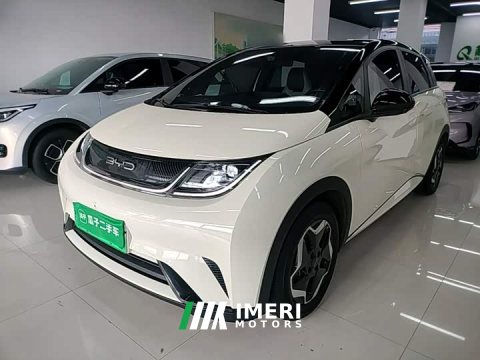 2022 BYD Dolphin 405km Fashion Edition - ავტომობილი ჩინეთიდან
