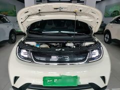 BYD Dolphin 405km Fashion Edition - ფოტო 19