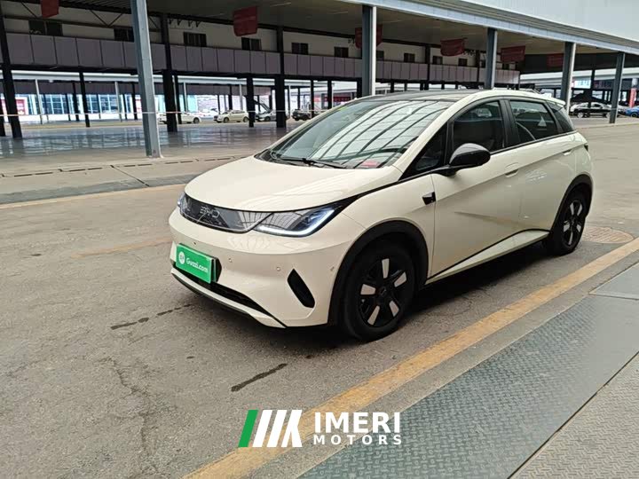 BYD Dolphin Smart Drive 410km Fashion Edition