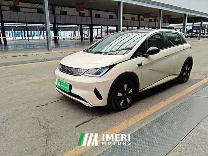 BYD Dolphin Smart Drive 410km Fashion Edition