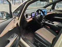 BYD Dolphin Smart Drive 410km Fashion Edition - фото 15