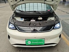 BYD Dolphin Smart Drive 410km Fashion Edition - фото 19