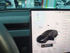 Tesla Model 3 Rear-Wheel Drive - ფოტო 13