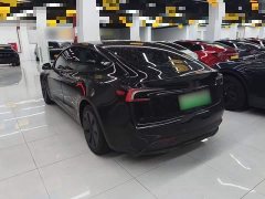 Tesla Model 3 Rear-Wheel Drive - ფოტო 4