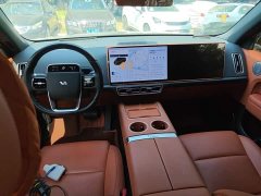 Li Auto L6 Pro - ფოტო 12