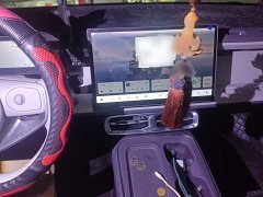 Leapmotor Leapo B01 550 Comfort Edition - ფოტო 5