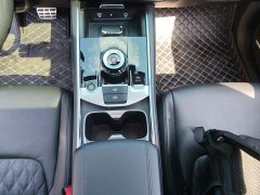Kia Lion Pibo Tuojie 2.0T Two-Wheel Drive Flagship - photo 13