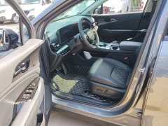 Kia Lion Pibo Tuojie 2.0T Two-Wheel Drive Flagship - photo 15