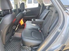 Kia Lion Pibo Tuojie 2.0T Two-Wheel Drive Flagship - photo 16