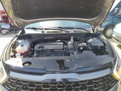 Kia Lion Pibo Tuojie 2.0T Two-Wheel Drive Flagship - photo 19