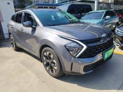 Kia Lion Pibo Tuojie 2.0T Two-Wheel Drive Flagship - photo 3