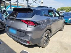 Kia Lion Pibo Tuojie 2.0T Two-Wheel Drive Flagship - photo 6