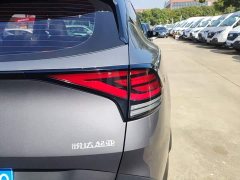 Kia Lion Pibo Tuojie 2.0T Two-Wheel Drive Flagship - photo 7