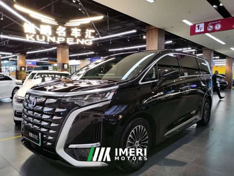 2025 Denza D9 DM-i 1050 Premium - ავტომობილი ჩინეთიდან