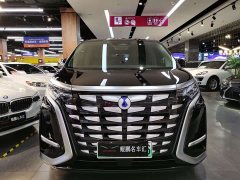 Denza D9 DM-i 1050 Premium - фото 2