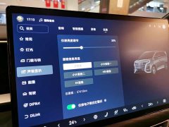 Denza D9 DM-i 1050 Premium - фото 9