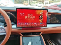BYD Sealion 07 EV 610 Long Range Edition - фото 12