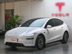 Tesla Model Y L Long Range All-Wheel Drive - фото 1