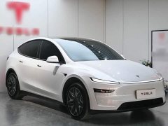 Tesla Model Y L Long Range All-Wheel Drive - фото 3