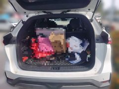 Geely Galaxy L7 1.5T 55km PRO Dragon Ascend Edition - ფოტო 9