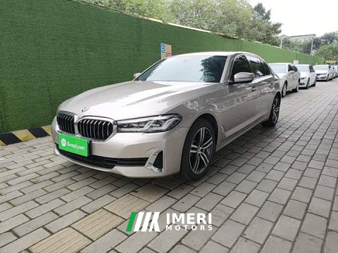 2021 BMW 5 Series 530Li Premier Luxury Package - ავტომობილი ჩინეთიდან