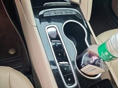 Buick Regal 552T Elite - ფოტო 13