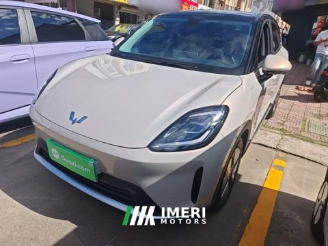 2025 Wuling Bingguo S 325km Deluxe Edition - car from China