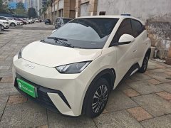 BYD Seagull 305km Vitality Edition - ფოტო 1