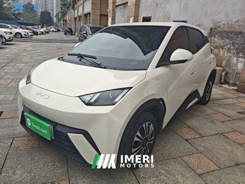 2025 BYD Seagull 305km Vitality Edition - ავტომობილი ჩინეთიდან