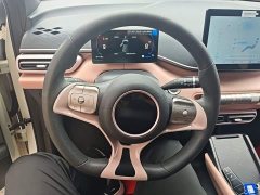 BYD Seagull 305km Vitality Edition - ფოტო 10
