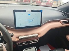 BYD Seagull 305km Vitality Edition - ფოტო 12