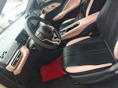 BYD Seagull 305km Vitality Edition - ფოტო 14