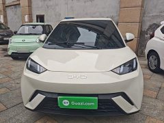 BYD Seagull 305km Vitality Edition - ფოტო 2