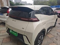 BYD Seagull 305km Vitality Edition - ფოტო 6