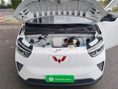 Wuling Yangguang 300km Comfort Passenger Van 60kW - ფოტო 19