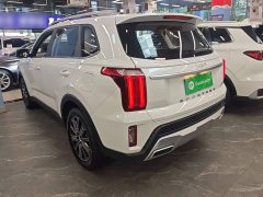 Kia Sportage Ace 2.0L Challenge Edition - ფოტო 4