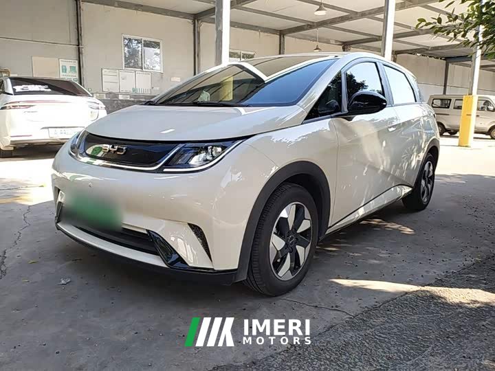 BYD Dolphin 420km Freedom Edition - car from China