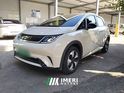 2026 BYD Dolphin 420km Freedom Edition - ავტომობილი ჩინეთიდან
