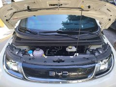 BYD Dolphin 420km Freedom Edition - photo 19