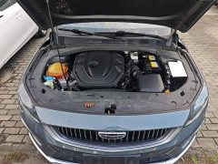 Geely Xingrui 2.0T Diesel Premium Edition - ფოტო 19